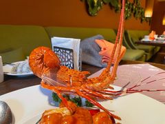 -采悦轩中餐厅·粤菜·海南菜(神州半岛喜来登度假酒店)