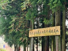 -武陵山森林公园