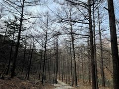 -崂山九水游览区