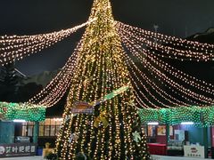 -美的鹭湖探索王国