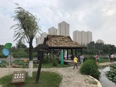 -前关湿地公园