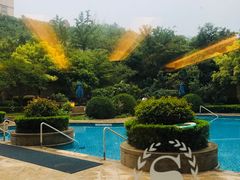 -济南喜来登酒店