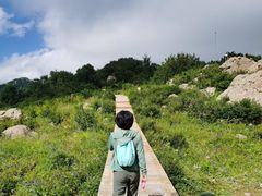 -白草畔自然风景区