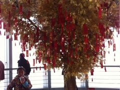 紫峰大厦观光层-紫峰大厦