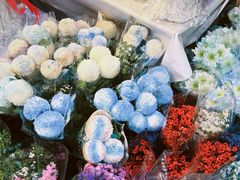 -循礼门鲜花花市(武汉循礼门店)