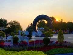 -大兴滨河森林公园