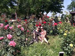 -武汉紫薇都市田园