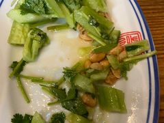 裸拍黄瓜-新兴园饺子馆(望京店)