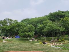 -羊山湖公园