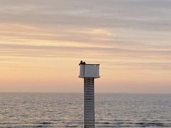 -烟台金沙滩海滨公园