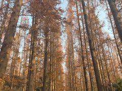 -上海怡沁园度假酒店