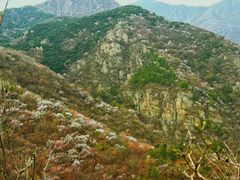 -北京鹫峰国家森林公园