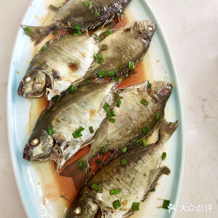 海鲜脑袋🌊汕尾下一个next level