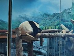-武汉动物园