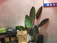-一间森林酒店(上海人民广场店)