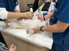 -申普宠物医院·眼科·心内科·影像科(普陀分院)