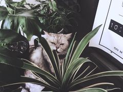 -研途咖啡馆(健康路店)