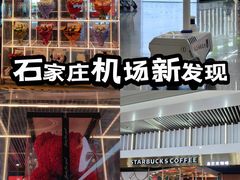 -石家庄正定国际机场-T2航站楼