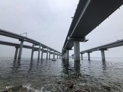 -星海湾跨海大桥