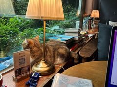 -咖法森林·咖啡  酒吧(天河店)