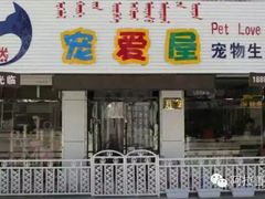 -宠爱屋室内萌宠乐园(阿拉善左旗店)