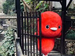 -天明山温泉大酒店
