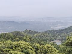 -广州市帽峰山景区