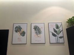 -史云逊养发护发