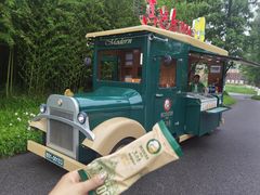 -黄海国家森林公园