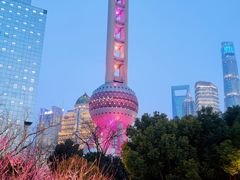 -东方明珠广播电视塔