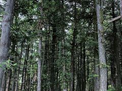 -广州市白云山风景名胜区