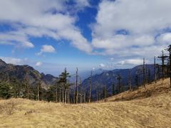 -朱雀国家森林公园