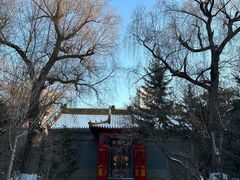 -哈尔滨极乐寺