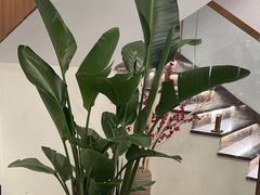 -圣和足道·瑶浴SPA·养生茶府(光华店)