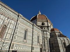 -圣母百花大教堂穹顶