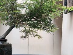 -元古本店(南锣鼓巷店)