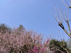-重庆园博园