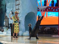 -三亚海昌梦幻海洋不夜城