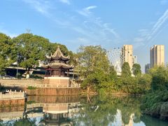 -八大山人梅湖景区