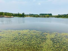 -东郊湿地公园