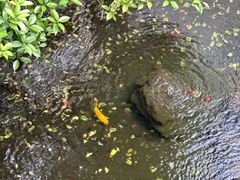 -雪霁山庄·合肥地标老字号