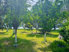 -天平湖公园