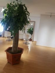 点击看大图 -IN HAIR艺术+造型
