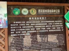 -西双版纳原始森林公园