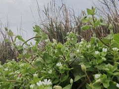 -白鹭湾湿地公园