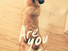 -韩通韩国语学院(虹口校区)