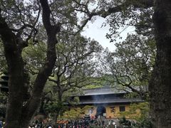 -普陀山风景名胜区-法雨禅寺