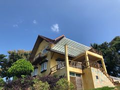 -黄色小屋