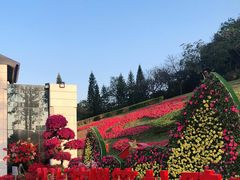 -广州市白云山风景名胜区