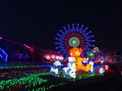 -菊园百果园